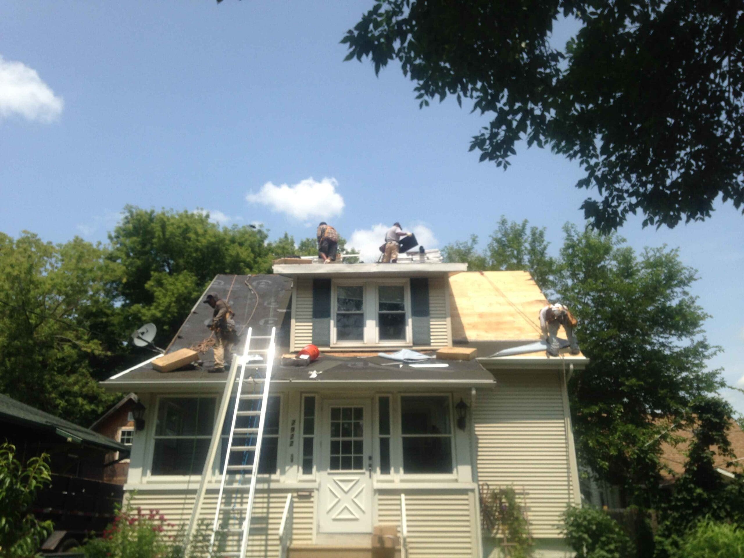 Shingle Roof Replacement